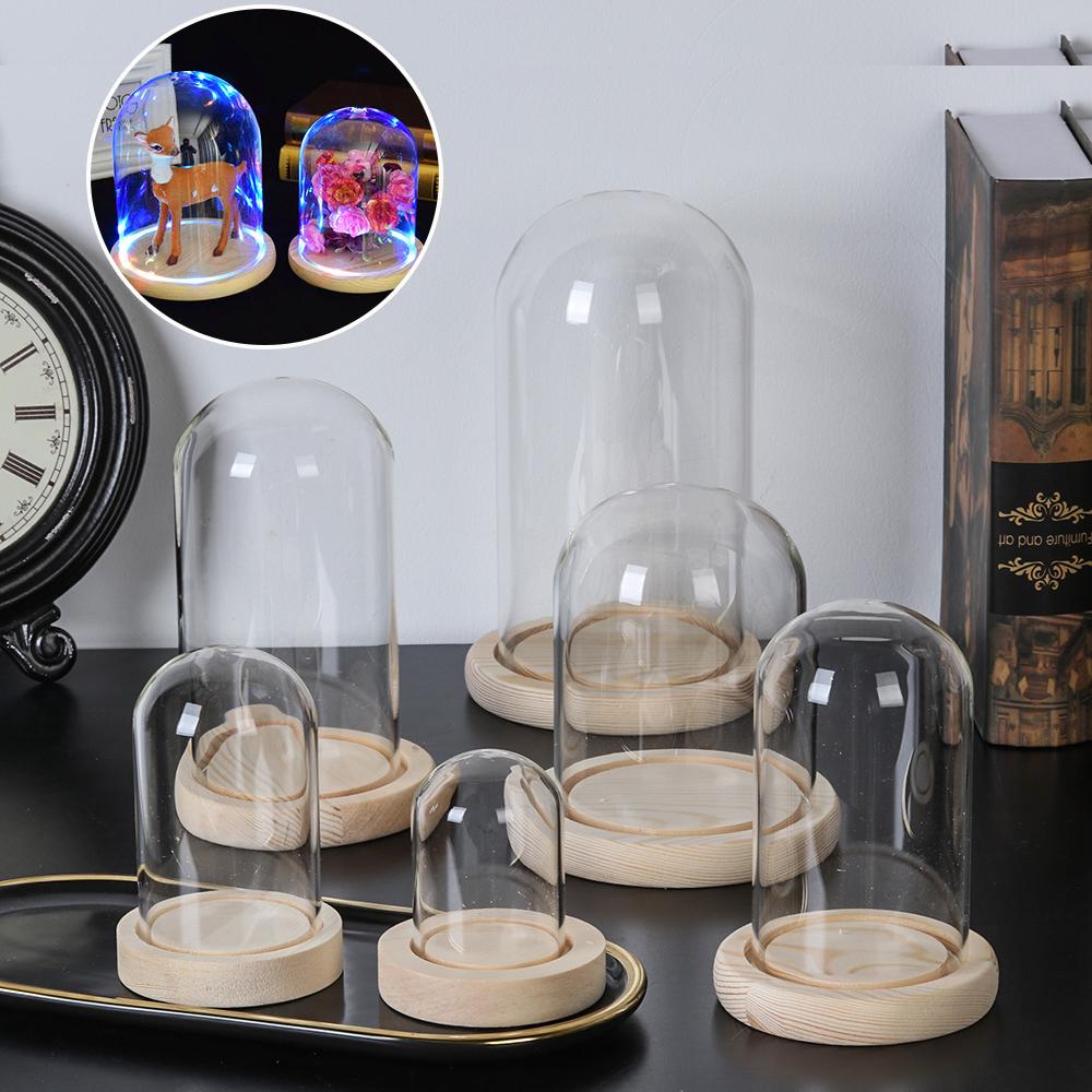 Fairy Lights Home Decor Terrar - Reusable Bottle review and price